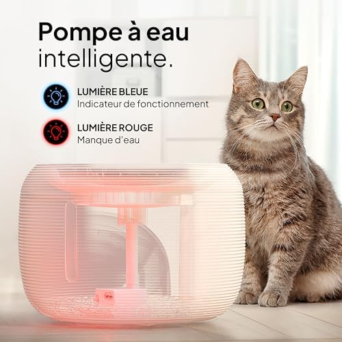 Fontaine à eau chat silencieuse et sans BPA avec éclairage LED et grande capacité