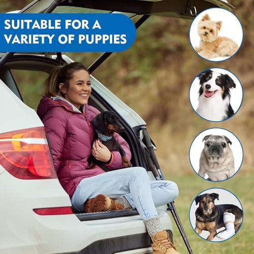 Rampe chien voiture : sécurité et confort pour votre animal de compagnie