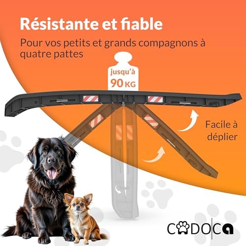Rampe chien voiture antidérapante et légère avec accessoires pratiques