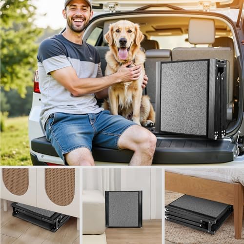 Rampe pour chien voiture : sécurité et confort pour votre animal