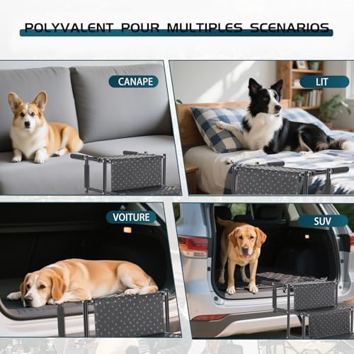 Escalier pour chien robuste et pliable avec surface antidérapante