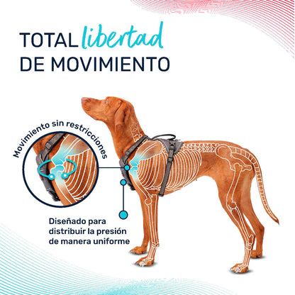 V4HFF59CBC7CEED737499DAE83210C25B93R5328501P6