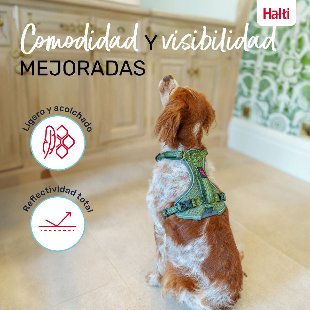 V4H57E8CB961E677ACFE0B3DA42CD700AEER5328547P5