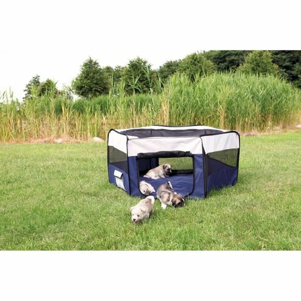 V4H7C7BF6B55EE7B283C5490A0E11E05379R5138585P3