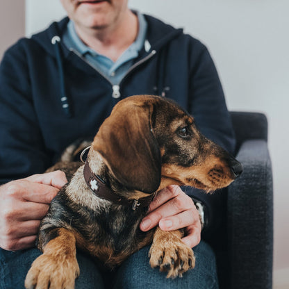 V9H48FC7D97D85270DB628CE284A48806ABR4586470P5