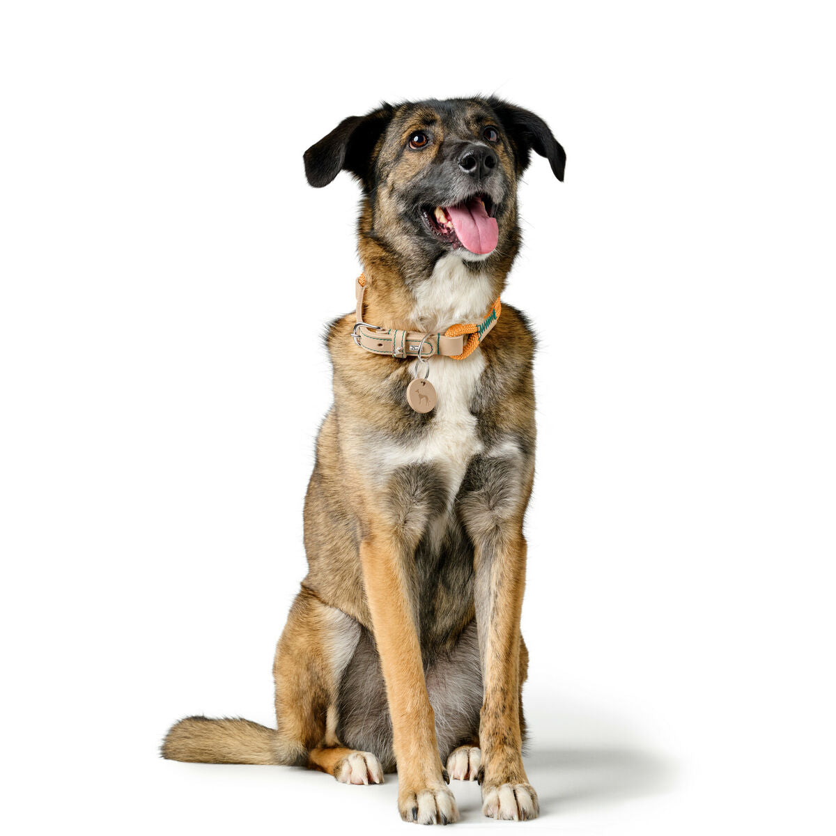 V3H12EECAA6F4437622031B096EC0ADEA5DR5575484P3