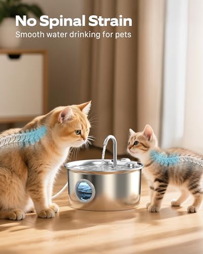 Fontaine à eau chat en acier inoxydable avec filtration avancée et fonctionnement silencieux