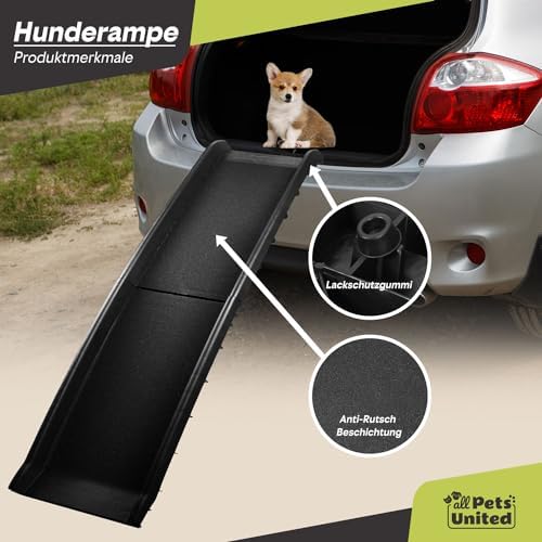 Rampe chien voiture : Sécurité et confort pour tous les animaux