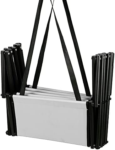 Rampe chien voiture polyvalente et sécurisée pour faciliter l'entrée des animaux