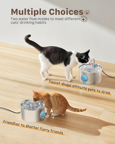 Fontaine à eau chat avec contrôle précis du niveau d'eau et filtration avancée