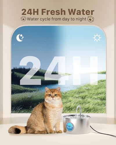 Fontaine à eau chat avec contrôle précis du niveau d'eau et filtration avancée