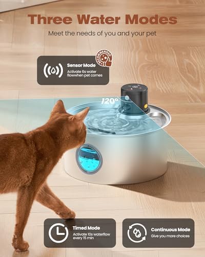Fontaine à eau chat sans fil avec détecteur de mouvement pour hydratation optimale