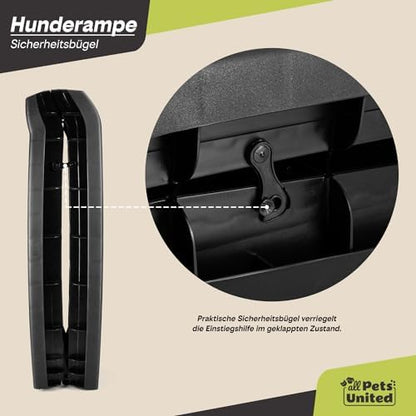 Rampe chien voiture : Sécurité et confort pour tous les animaux