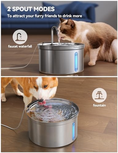 Fontaine à eau pour chat en acier inoxydable silencieuse avec système de filtration efficace