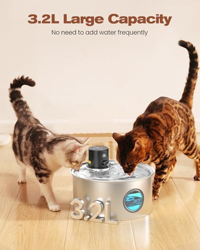 Fontaine à eau chat sans fil avec détecteur de mouvement pour hydratation optimale