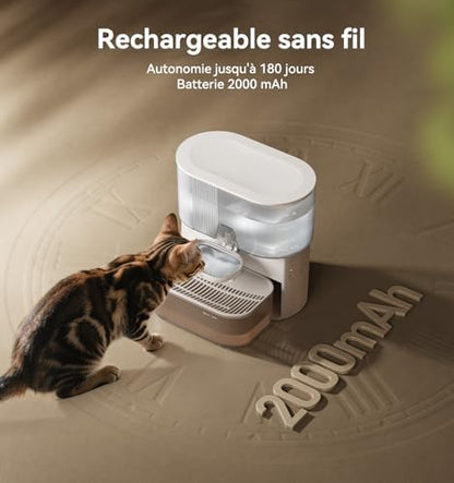 Fontaine à eau chat innovante et silencieuse avec autonomie prolongée
