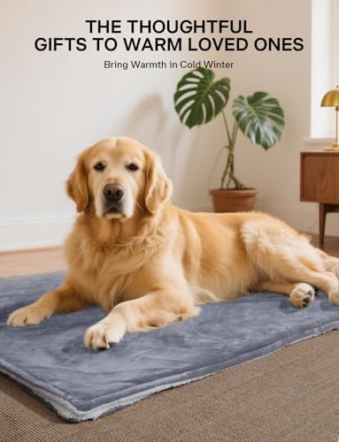 Couverture chauffante ultra-confortable avec 9 niveaux de chaleur et sécurité intégrée