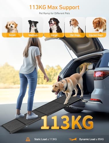 Rampe chien voiture robuste et confortable avec sécurité optimale