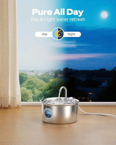 Fontaine à eau chat en acier inoxydable avec filtration avancée et fonctionnement silencieux