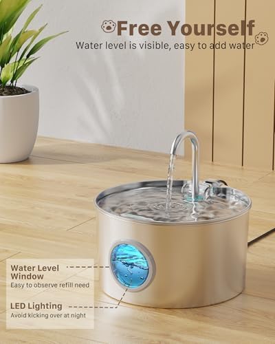 Fontaine à eau chat avec contrôle précis du niveau d'eau et filtration avancée