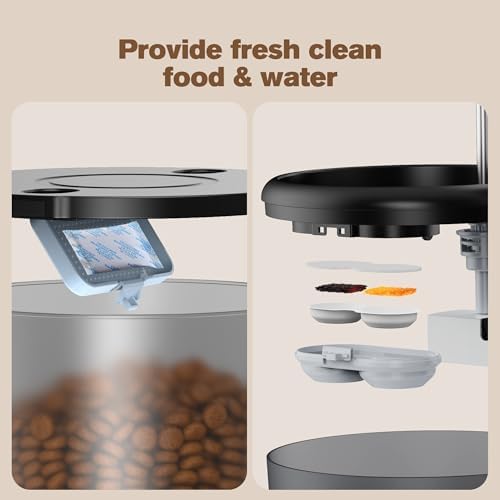 Fontaine à eau chat avec triple filtration et distributeur automatique de croquettes