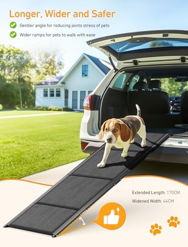 Rampe chien voiture robuste et confortable avec sécurité optimale