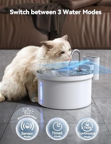 Fontaine à eau pour chat sans fil avec modes de débit et nettoyage facile