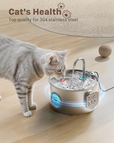 Fontaine à eau chat avec contrôle précis du niveau d'eau et filtration avancée