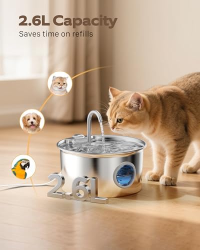 Fontaine à eau chat en acier inoxydable avec filtration avancée et fonctionnement silencieux