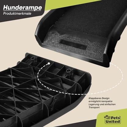 Rampe chien voiture : Sécurité et confort pour tous les animaux