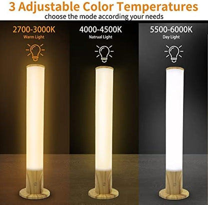 Lampe luminothérapie 10 000 lux avec luminosité et température réglables, sans UV