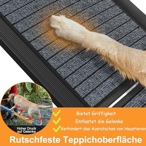 Rampe chien voiture pliable et sécurisée pour un accès facile