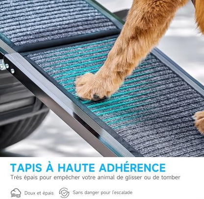 Rampe pour chien voiture 170 cm - Sécurité et confort pour votre animal