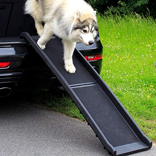 Rampe chien voiture : aide pratique et résistante pour animaux de compagnie