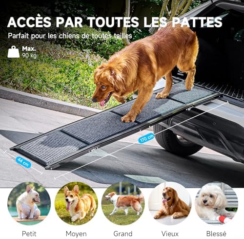 Rampe pour chien voiture 170 cm - Sécurité et confort pour votre animal
