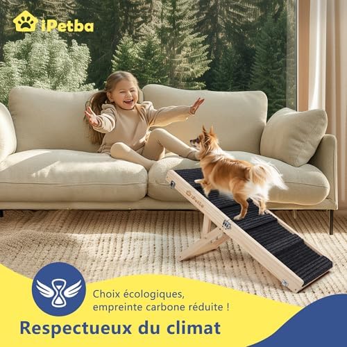 Rampe chien voiture antidérapante et réglable pour sécurité et mobilité