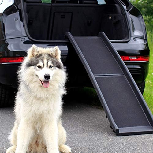 Rampe chien voiture : aide pratique et résistante pour animaux de compagnie