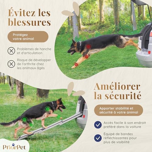 Rampe chien voiture antidérapante et pliable pour une sécurité optimale