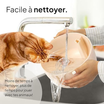Fontaine à eau chat silencieuse et sans BPA avec éclairage LED et grande capacité
