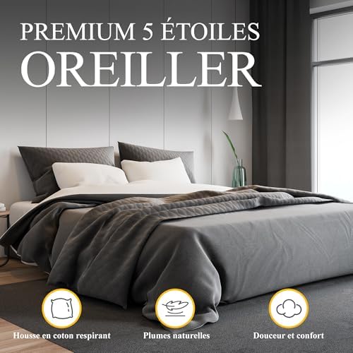 Oreiller ergonomique cervical pour un confort hôtelier et soutien optimal