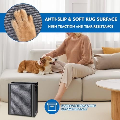 Rampe chien voiture : sécurité et confort pour votre animal de compagnie