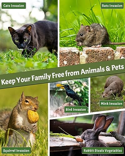 Répulsif pour chats extérieur à ultrasons avec alimentation solaire et capteur infrarouge