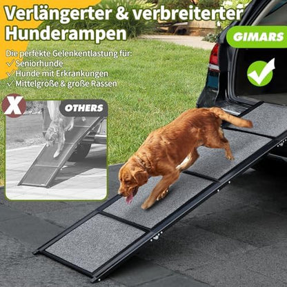 Rampe pour chien voiture : sécurité et confort pour votre animal