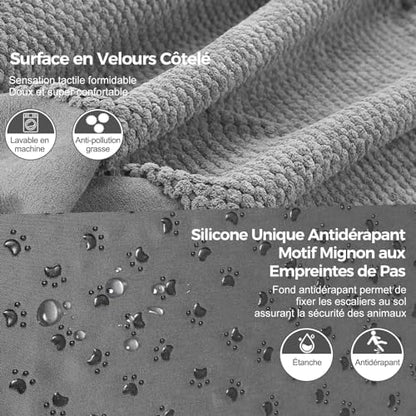 Escalier pour chien avec rampe douce et mousse haute densité pour un accès facile