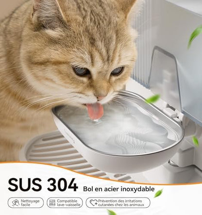 Fontaine à eau chat innovante et silencieuse avec autonomie prolongée