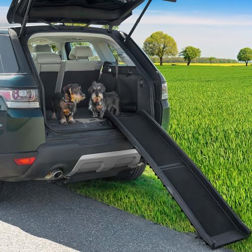 Rampe chien voiture : Sécurité et confort pour tous les animaux