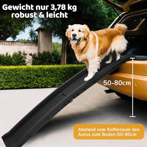 Rampe chien voiture antidérapante et pliable pour animaux âgés et lourds