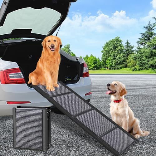 Rampe chien voiture : sécurité et confort pour votre animal de compagnie