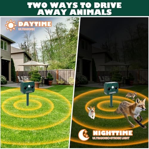 Répulsif pour chats extérieur puissant avec ultrasons et recharge solaire