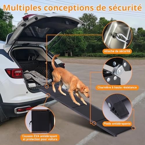 Rampe chien voiture extra longue et large pour une sécurité optimale
